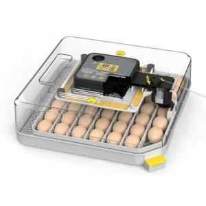 Fully automatic 48-egg incubator