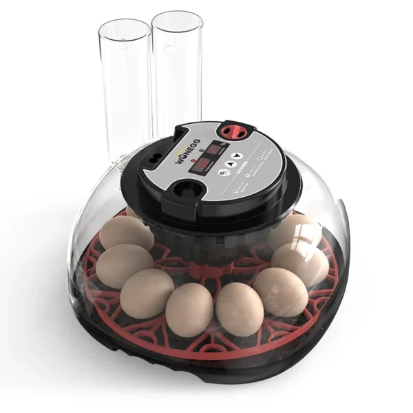 HHD WONEGG M12H Commercial Quail Black Chick Humidity Egg Incubator Sale In Guangzhou - Image 5