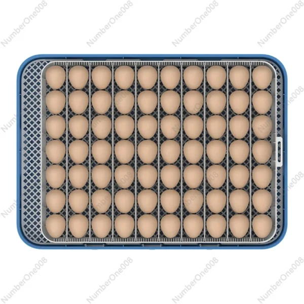 For HHD WONEGG Fully Automatic Laboratory Thermostat Costante Chicken Incubatore Di Tempe Solar 70 Egg Incubator - Image 4
