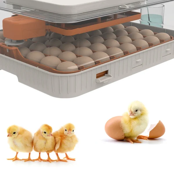 N Dual System 56 Egg Incubator Machine Poultry Fully Automatic Controller Home Use Single Supply /Dual power supply - Image 6