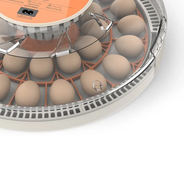 WONEGG Automatic Egg Turning Best Quality on Portable Transport 30H Incubator Equipment Set - Image 4