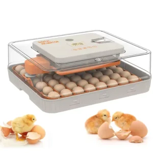 N Dual System 56 Egg Incubator Machine Poultry Fully Automatic Controller Home Use Single Supply /Dual power supply
