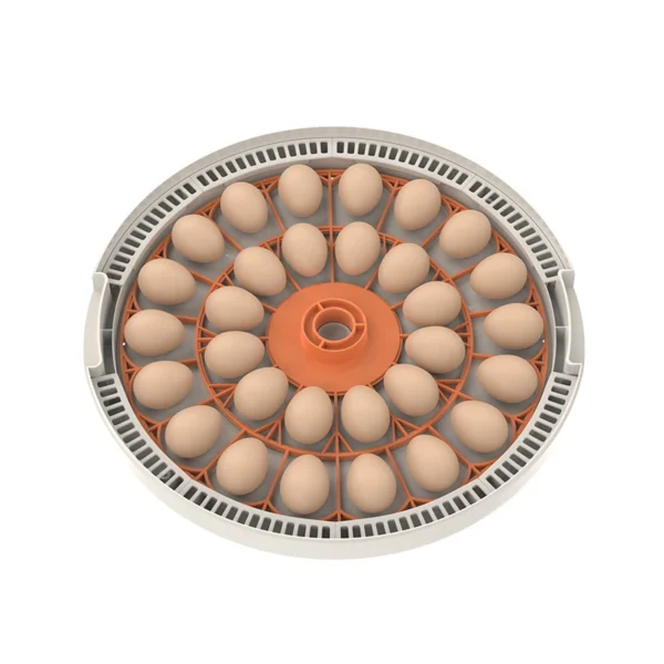 WONEGG Automatic Egg Turning Best Quality on Portable Transport 30H Incubator Equipment Set - Image 2