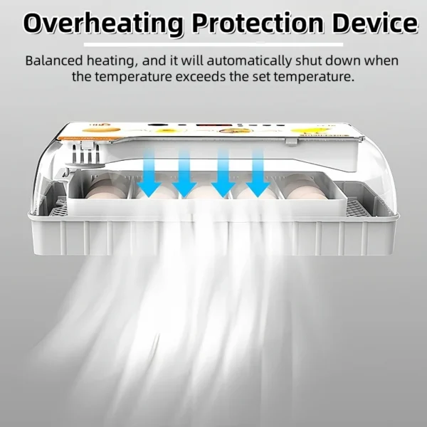 HHD 20 Eggs Capacity Chicken Incubator Automatic Turn Eggs Small Bird Poultry Hatching Incubator - Image 5