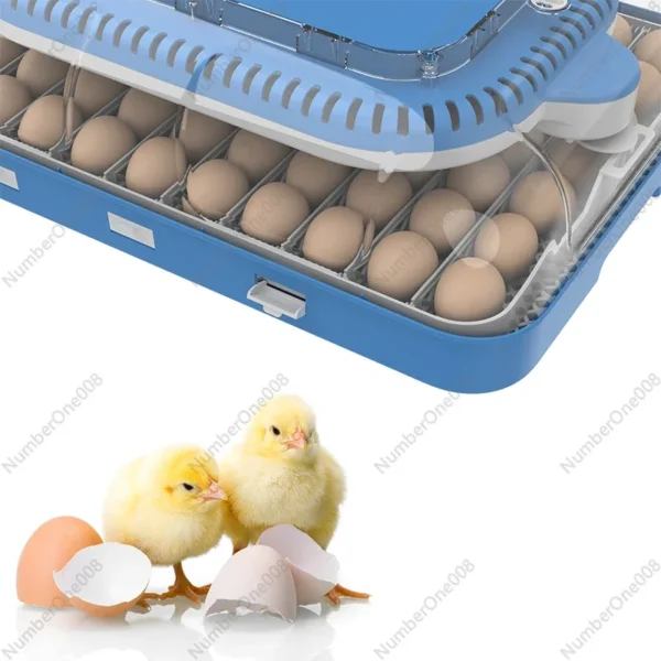 For HHD WONEGG Fully Automatic Laboratory Thermostat Costante Chicken Incubatore Di Tempe Solar 70 Egg Incubator - Image 2
