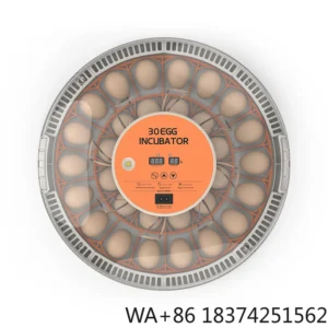 WONEGG Automatic Egg Turning Best Quality on Portable Transport 30H Incubator Equipment Set