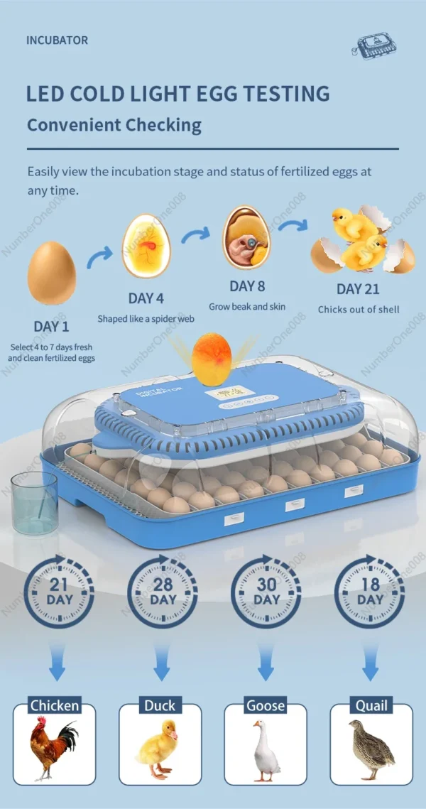 For HHD WONEGG Fully Automatic Laboratory Thermostat Costante Chicken Incubatore Di Tempe Solar 70 Egg Incubator - Image 5