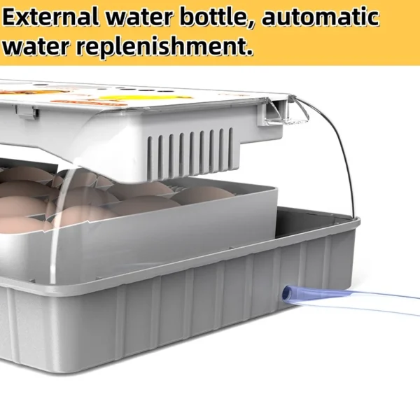 HHD 20 Eggs Capacity Chicken Incubator Automatic Turn Eggs Small Bird Poultry Hatching Incubator - Image 4