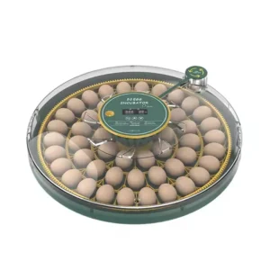 HHD Incubator Egg Automatic Chicken Incubator 52 Eggs Turning Fully Automatic Machine For Hatchery Quail Animal Farm Newest