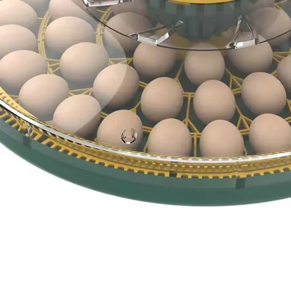 HHD Incubator Egg Automatic Chicken Incubator 52 Eggs Turning Fully Automatic Machine For Hatchery Quail Animal Farm Newest - Image 5