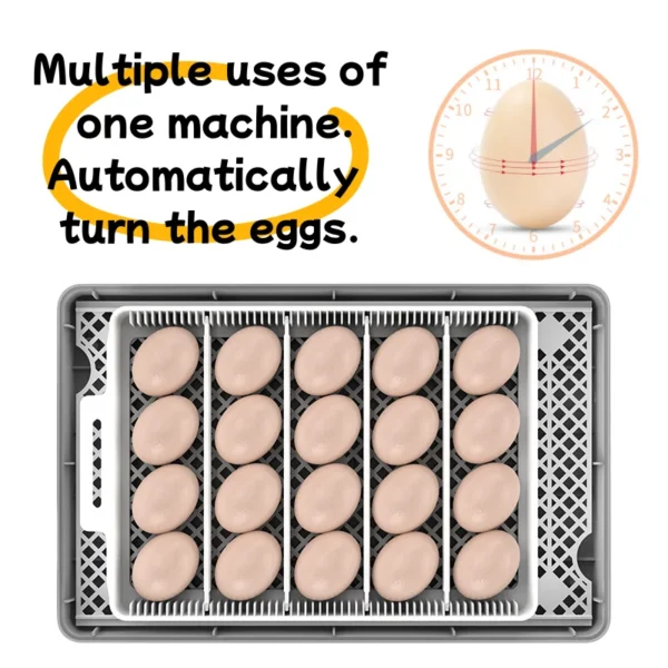 HHD 20 Eggs Capacity Chicken Incubator Automatic Turn Eggs Small Bird Poultry Hatching Incubator - Image 2