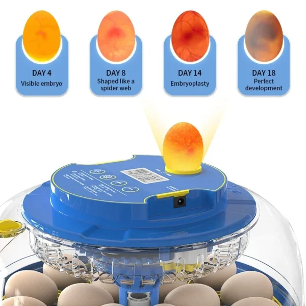 WONEGG AC And DC Mini Cheap Egg Buy 18H Incubator Online Full Automatic Incubation Machine - Image 4