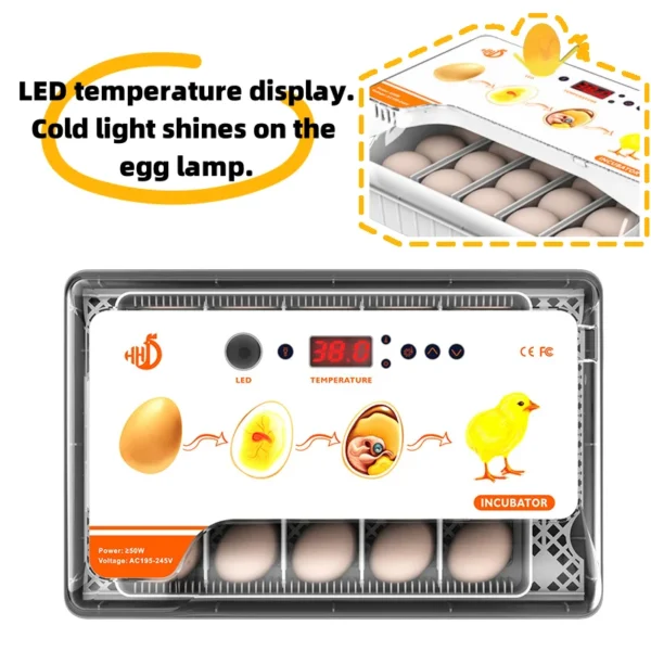 HHD 20 Eggs Capacity Chicken Incubator Automatic Turn Eggs Small Bird Poultry Hatching Incubator - Image 3