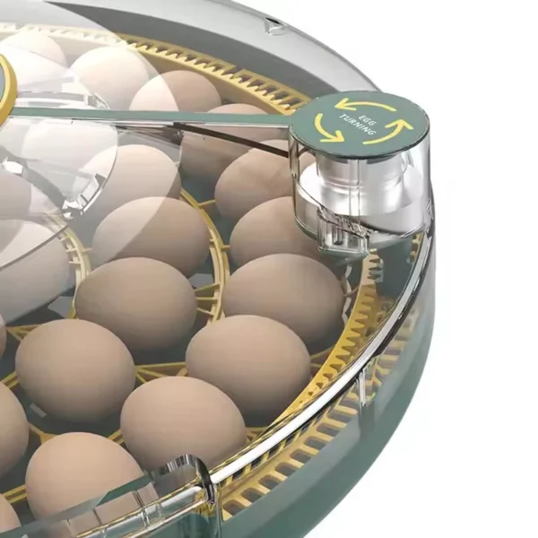 HHD Incubator Egg Automatic Chicken Incubator 52 Eggs Turning Fully Automatic Machine For Hatchery Quail Animal Farm Newest - Image 6
