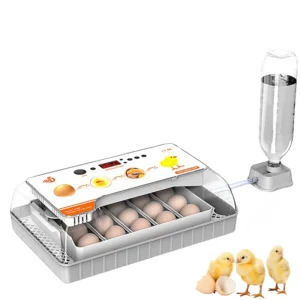 HHD 20 Eggs Capacity Chicken Incubator Automatic Turn Eggs Small Bird Poultry Hatching Incubator
